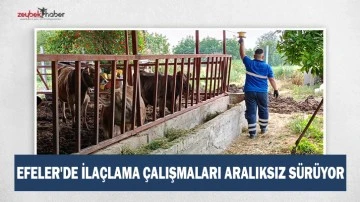 EFELER'DE İLA&Ccedil;LAMA &Ccedil;ALIŞMALARI ARALIKSIZ S&Uuml;R&Uuml;YOR