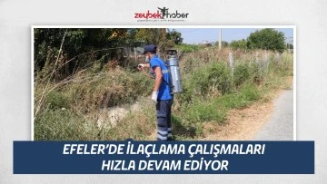 EFELER&rsquo;DE İLA&Ccedil;LAMA &Ccedil;ALIŞMALARI HIZLA DEVAM EDİYOR