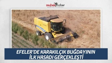 EFELER'DE KARAKIL&Ccedil;IK BUĞDAYININ İLK HASADI GER&Ccedil;EKLEŞTİ