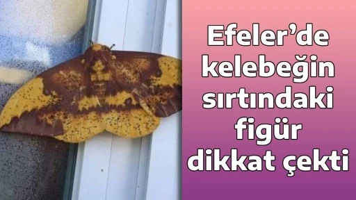 Efeler&rsquo;de kelebeğin sırtındaki fig&uuml;r dikkat &ccedil;ekti