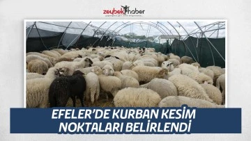 EFELER&rsquo;DE KURBAN KESİM NOKTALARI BELİRLENDİ