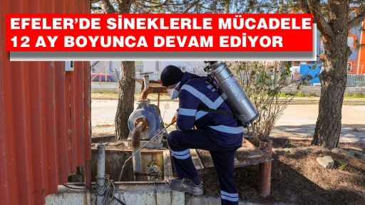 EFELER&rsquo;DE SİNEKLERLE M&Uuml;CADELE 12 AY BOYUNCA DEVAM EDİYOR