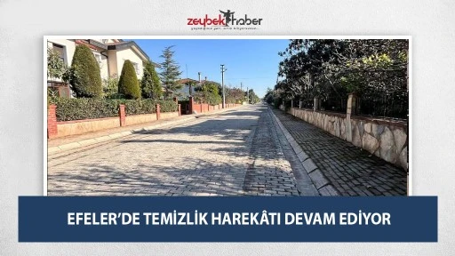 EFELER&rsquo;DE TEMİZLİK HAREK&Acirc;TI DEVAM EDİYOR