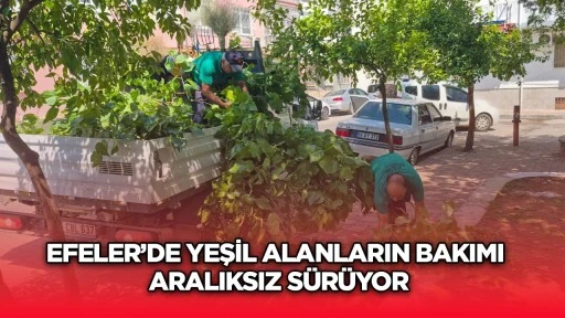 Efeler&rsquo;de yeşil alanların bakımı aralıksız s&uuml;r&uuml;yor