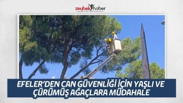 EFELER&rsquo;DEN CAN G&Uuml;VENLİĞİ İ&Ccedil;İN YAŞLI VE &Ccedil;&Uuml;R&Uuml;M&Uuml;Ş AĞA&Ccedil;LARA M&Uuml;DAHALE