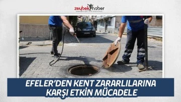 EFELER&rsquo;DEN KENT ZARARLILARINA KARŞI ETKİN M&Uuml;CADELE