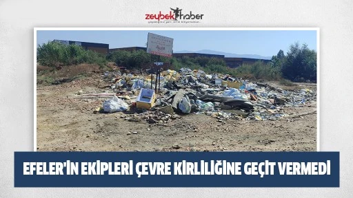 EFELER'İN EKİPLERİ &Ccedil;EVRE KİRLİLİĞİNE GE&Ccedil;İT VERMEDİ