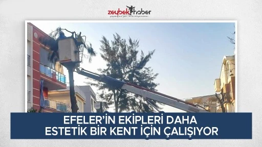 EFELER&rsquo;İN EKİPLERİ DAHA ESTETİK BİR KENT İ&Ccedil;İN &Ccedil;ALIŞIYOR