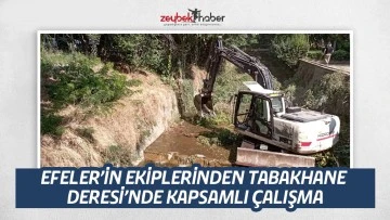 EFELER&rsquo;İN EKİPLERİNDEN TABAKHANE DERESİ&rsquo;NDE KAPSAMLI &Ccedil;ALIŞMA