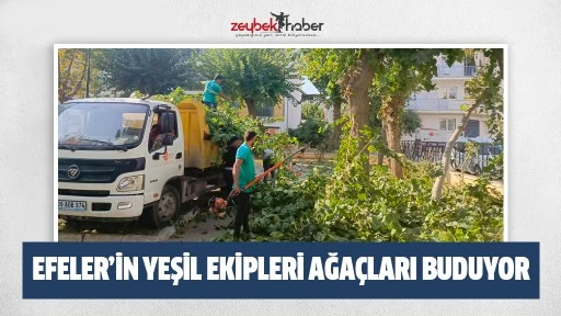 EFELER&rsquo;İN YEŞİL EKİPLERİ AĞA&Ccedil;LARI BUDUYOR