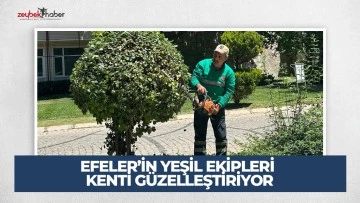 EFELER&rsquo;İN YEŞİL EKİPLERİ KENTİ G&Uuml;ZELLEŞTİRİYOR