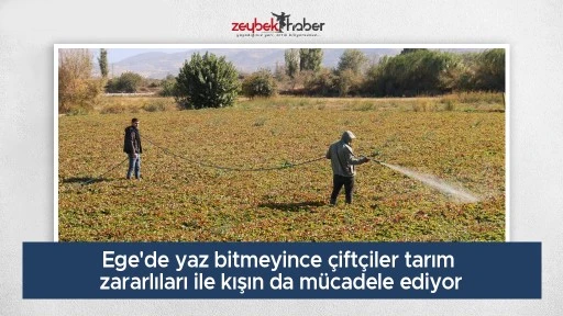 Ege'de yaz bitmeyince &ccedil;ift&ccedil;iler tarım zararlıları ile kışın da m&uuml;cadele ediyor