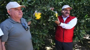 Ege Yaş Meyve Sebze İhracat&ccedil;ıları Birliği Başkanı U&ccedil;ak: &ldquo;Kalıntısız ve kaliteli &uuml;retim temel şartımız&rdquo;