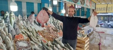 Ege&rsquo;ye kış gelmeyince balıklar da gelmedi