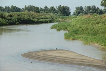 EKODOSD&rsquo;tan Menderes Nehri&rsquo;ni koruma &ccedil;ağrısı