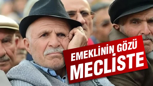 En d&uuml;ş&uuml;k emekli maaşı i&ccedil;in g&ouml;zler mecliste: Masada iki rakam var