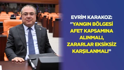 Evrim Karakoz, &Ccedil;ine yangınını TBMM g&uuml;ndemine taşıdı