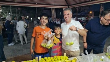Festivalde 5 ton taze incir dağıtıldı