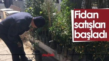 Fidan satışları başladı