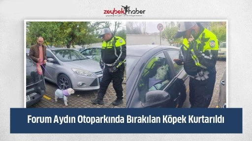 Forum Aydın Otoparkında Bırakılan K&ouml;pek Kurtarıldı