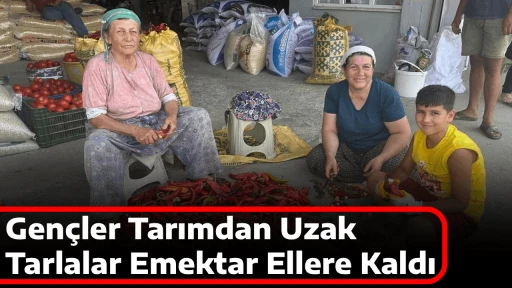 Gen&ccedil;ler Tarımdan Uzak, Tarlalar Emektar Ellere Kaldı
