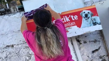 Germencik Belediyesi kavurucu sıcaklarda can dostlar i&ccedil;in seferber oldu