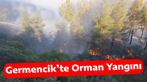 Germencik&rsquo;te Orman Yangını