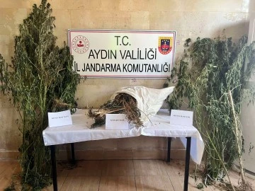 Germencik'te uyuşturucu operasyonu: 1 g&ouml;zaltı