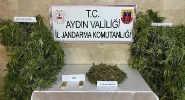 Germencik'te uyuşturucu operasyonu