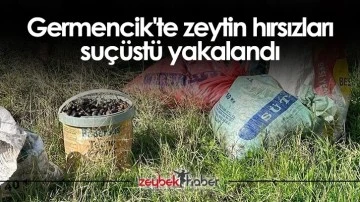 Germencik'te zeytin hırsızları su&ccedil;&uuml;st&uuml; yakalandı