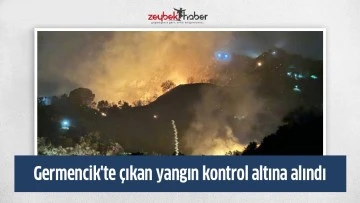 Germencik'te ziraat alanında &ccedil;ıkan yangın kontrol altına alındı