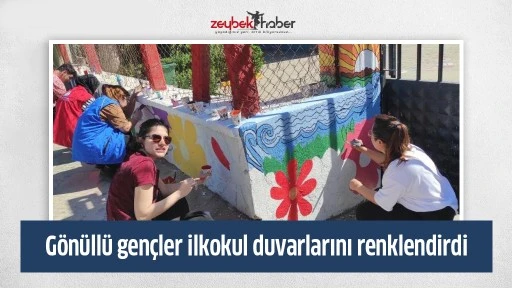 G&ouml;n&uuml;ll&uuml; gen&ccedil;ler ilkokul duvarlarını renklendirdi