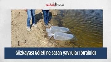 G&ouml;zkayası G&ouml;leti'ne sazan yavruları bırakıldı