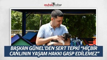 G&uuml;nel, &ldquo;Bu kanun teklifi derhal geri &ccedil;ekilmelidir&rdquo; dedi