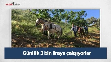 G&uuml;nl&uuml;k 3 bin liraya &ccedil;alışıyorlar