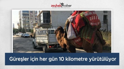 G&uuml;reşler i&ccedil;in her g&uuml;n 10 kilometre y&uuml;r&uuml;t&uuml;l&uuml;yor