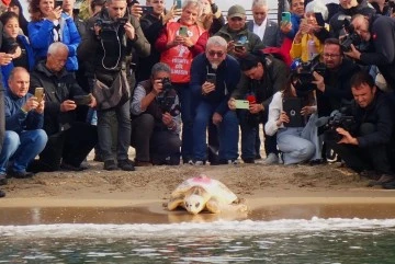G&uuml;zel İzmir isimli caretta soluğu Mısır&rsquo;da aldı