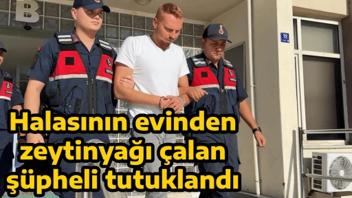 Halasının evinden zeytinyağı &ccedil;alan ş&uuml;pheli tutuklandı