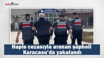 Hapis cezasıyla aranan ş&uuml;pheli Karacasu&rsquo;da yakalandı