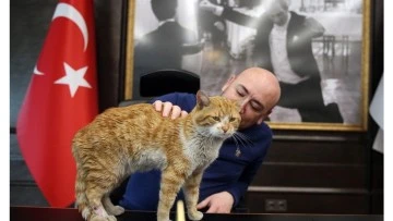 Hatay'dan geldi, AYTO'nun maskotu oldu