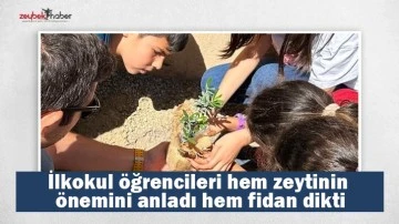 İlkokul &ouml;ğrencileri hem zeytinin &ouml;nemini anladı hem fidan dikti