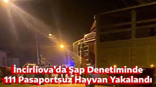 İncirliova&rsquo;da Şap Denetiminde 111 Pasaportsuz Hayvan Yakalandı