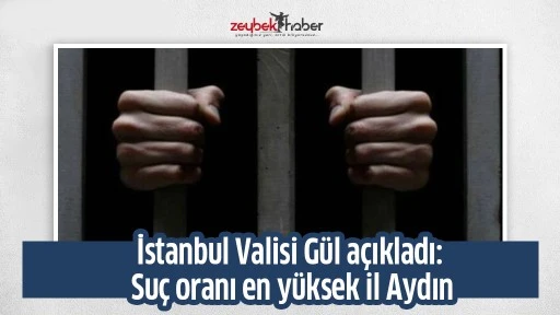 İstanbul Valisi G&uuml;l a&ccedil;ıkladı: Su&ccedil; oranı en y&uuml;ksek il Aydın