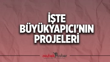 İşte B&uuml;y&uuml;kyapıcı'nın projeleri