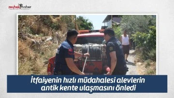 İtfaiyenin hızlı m&uuml;dahalesi alevlerin antik kente ulaşmasını &ouml;nledi