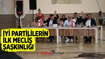 İYİ Partililerin İlk Meclis Şaşkınlığı
