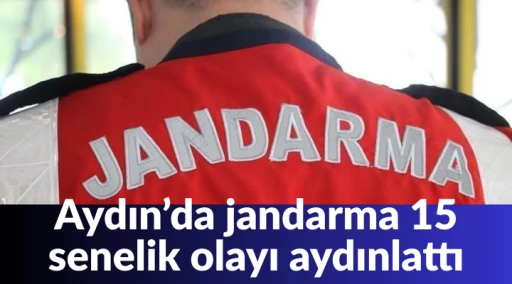 Jandarma 15 yıllık olayı aydınlattı