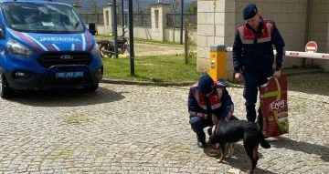 Jandarma ekipleri can dostları unutmuyor