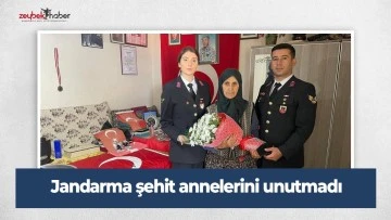 Jandarma şehit annelerini unutmadı