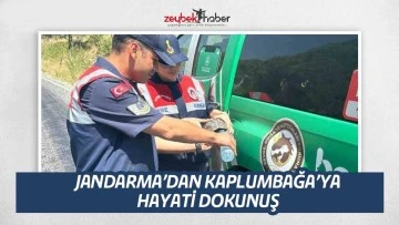 Jandarma sıcaktan etkilenen kaplumbağaya su i&ccedil;irdi